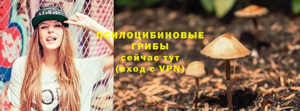 a pvp Михайлов