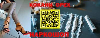 индика Пенза