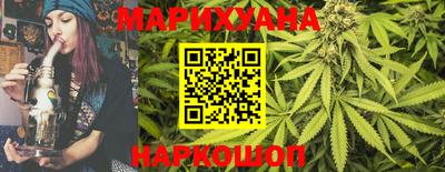 индика Пенза