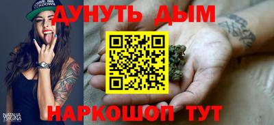 индика Пенза