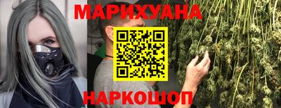 индика Пенза