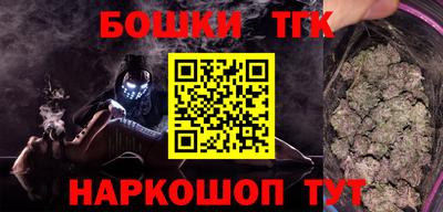 индика Пенза