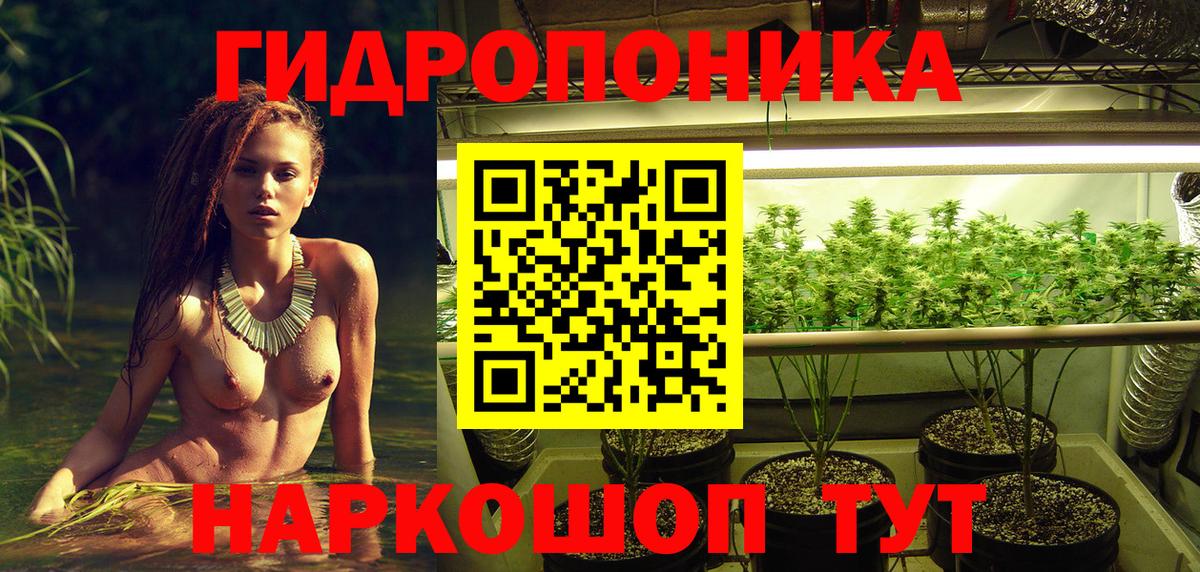 Канабис конопля Чистополь